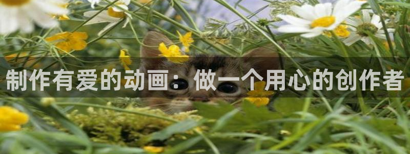 动漫之家为什么叫大妈之家