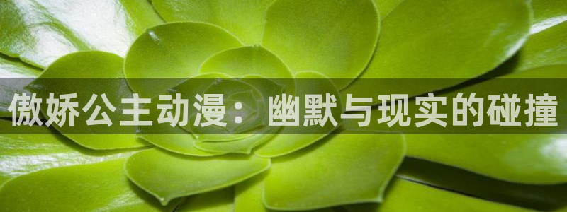 动漫之家怎么找到神隐