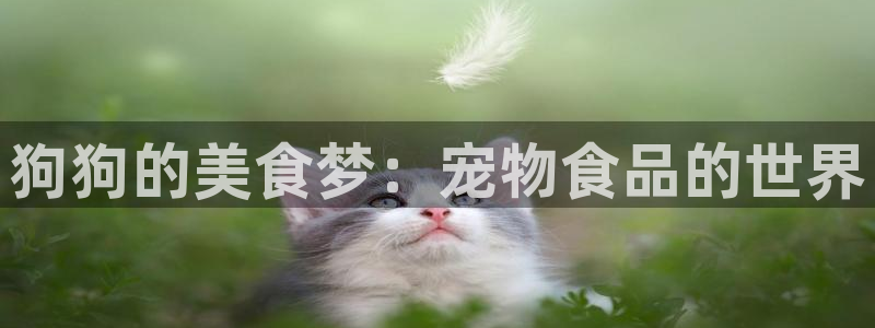 动漫之家网站网址：狗狗的美食梦：宠物食品的世界