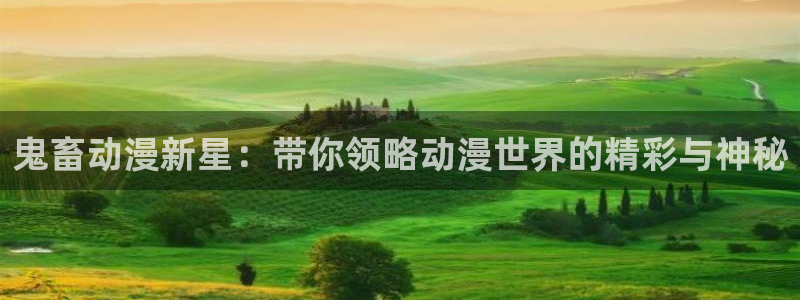 全职法师动漫之家：鬼畜动漫新星：带你领略动漫世界的精彩与神秘