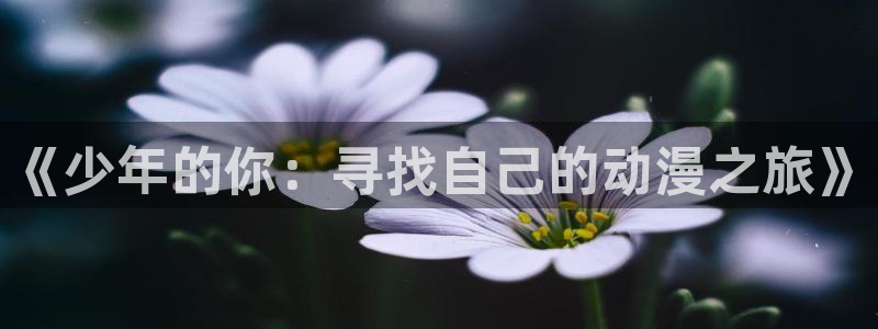 动漫之家免费版下载：《少年的你：寻找自己的动漫之旅》